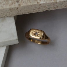 �쥯���󥮥�顼 �������� ���������� ���