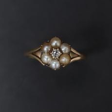 �ѡ��� &  ������ ��˺�� ���