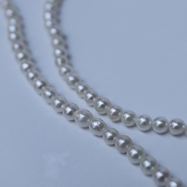 ����С����� ������� �ѡ���ͥå��쥹