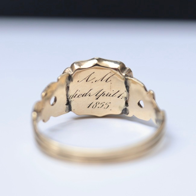 ���ܥ���� �����ͥå� ���硼�����󥹥����� �⡼�˥󥰥��