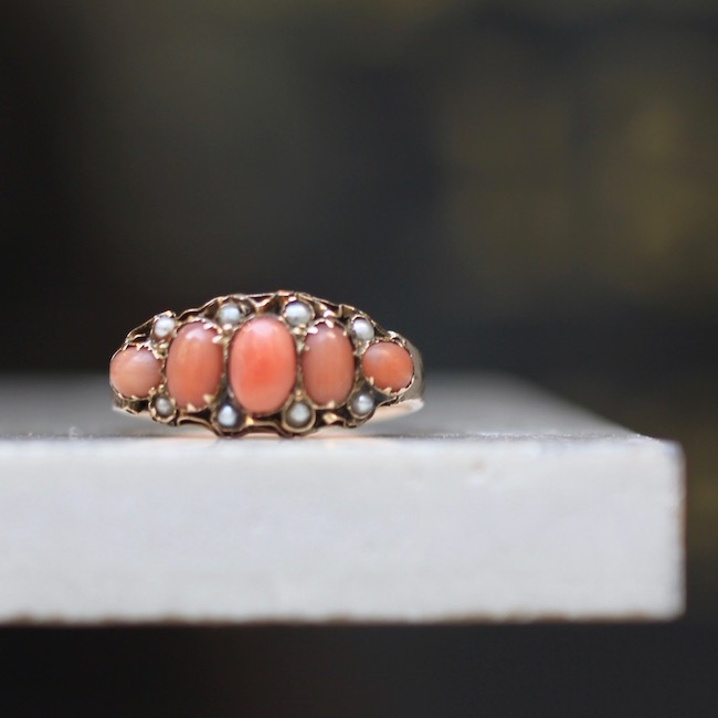 �������ȥꥢ�� ������� 5�� ���