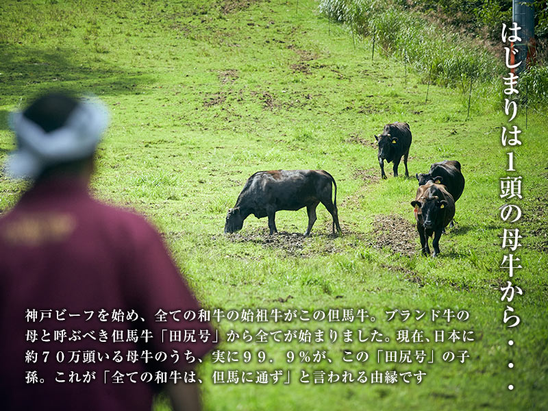 â�ϸ�/â�ϵ����ֿȥХ��碌���饤���ʤ����Ƥ�/����֤�����ѡ�[ ���Ȥ� ]