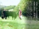 âϸ/âϵإ쥹ơ1150g [ Ȥ ]