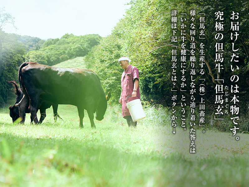 â�ϸ�/â�ϵ����˥å����㡼����