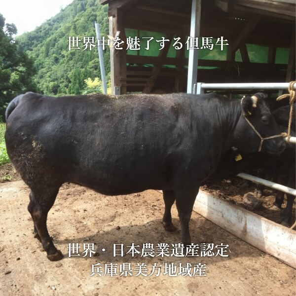 ���̤�â�ϸ����ˤߡ����������󥹥ơ��� (1��200g��2�祻�å�)