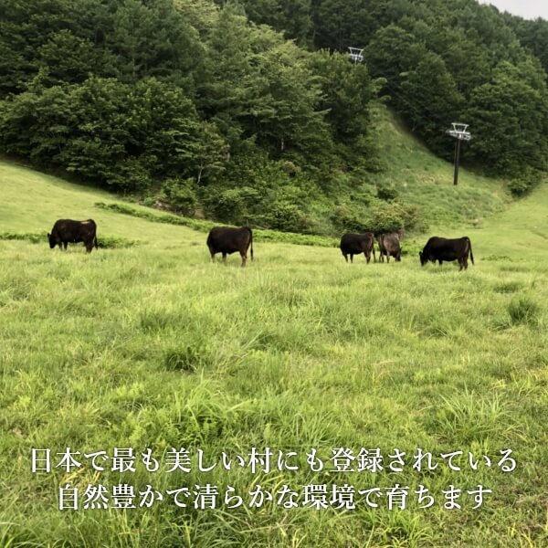 ���̤�â�ϸ����ˤߡ����������󥹥ơ��� (1��200g��2�祻�å�)