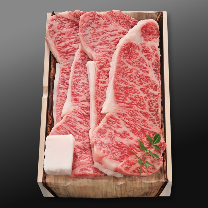 ��������������󥹥ơ���������A5 1.0kg(250g��4��)��