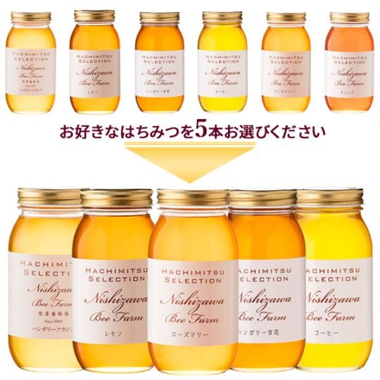 6種類から選べる 海外産はちみつ1kgまとめ買い5本セット【1本あたり2,700円】【ラッピング不可】