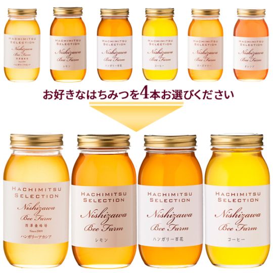 6種類から選べる 海外産はちみつ1kgまとめ買い4本セット【1本あたり2,800円】【ラッピング不可】