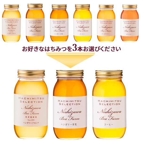 6種類から選べる 海外産はちみつ1kgまとめ買い3本セット【1本あたり2,950円】【ラッピング不可】