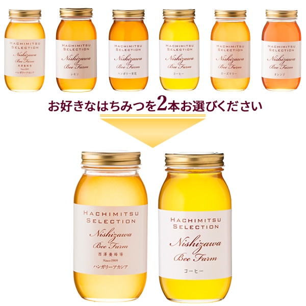 6種類から選べる 海外産はちみつ1kgまとめ買い2本セット【1本あたり3,000円】【ラッピング不可】