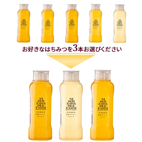 5種類から選べる　秋の新蜜（500gポリ容器入り）3本まとめ買いセット【特価品につきラッピング不可】【1本あたり3,600円】