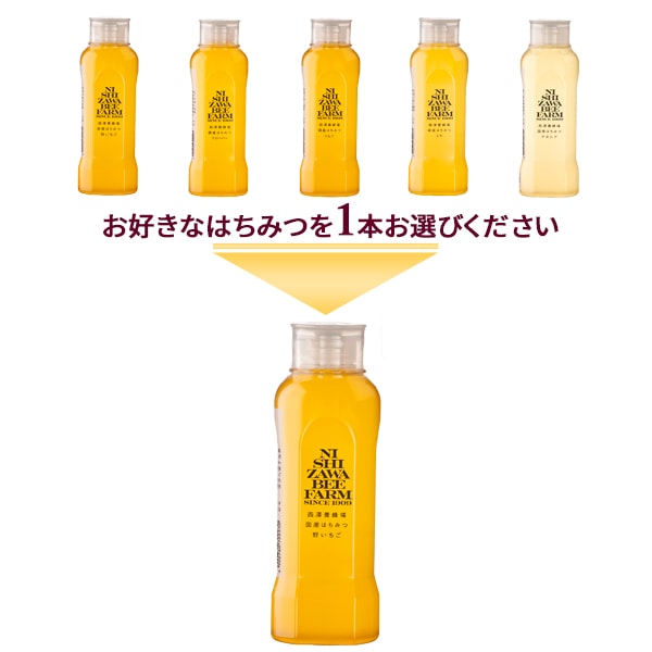 5種類から選べる　秋の新蜜（500gポリ容器入り）単品【3本以上購入で割引有り】【ラッピング不可】
