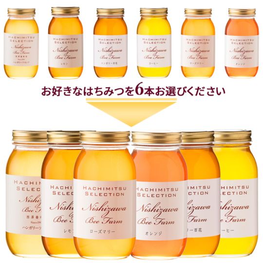 6種類から選べる 海外産はちみつ1kgまとめ買い6本セット【1本あたり2,500円】【ラッピング不可】