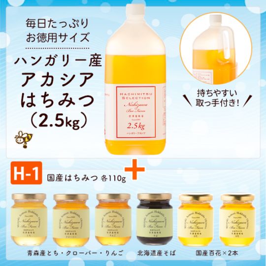 ハンガリー産アカシアはちみつ＋H-1セット（ハンガリー産アカシア2.5kg・国産とち・クローバー・りんご・そば・百花2本各110g）【選べてお得なセット】【特価品につきラッピング不可】