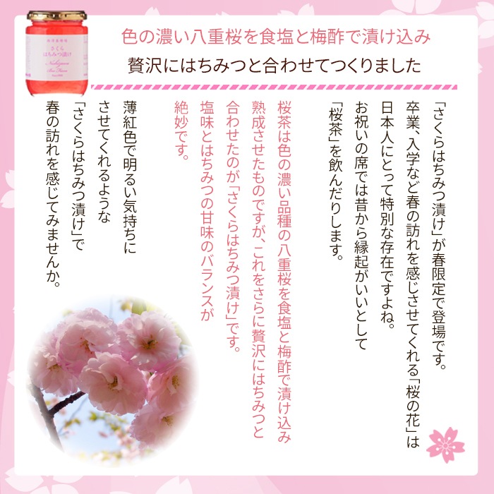春限定 さくらはちみつ漬け（300g）【特価品につきラッピング不可】