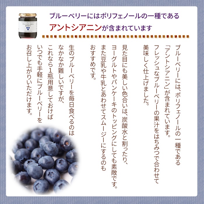 ブルーベリー果汁とはちみつ（300g）