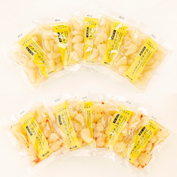 定期コース はちみつらっきょう10袋セット（甘酢5袋・ピリ辛5袋）100g×10袋