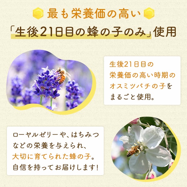 蜂の子カプセル120粒 3本まとめ買いセット【予約販売につき10/13より順次出荷】【特価品につきラッピング不可】