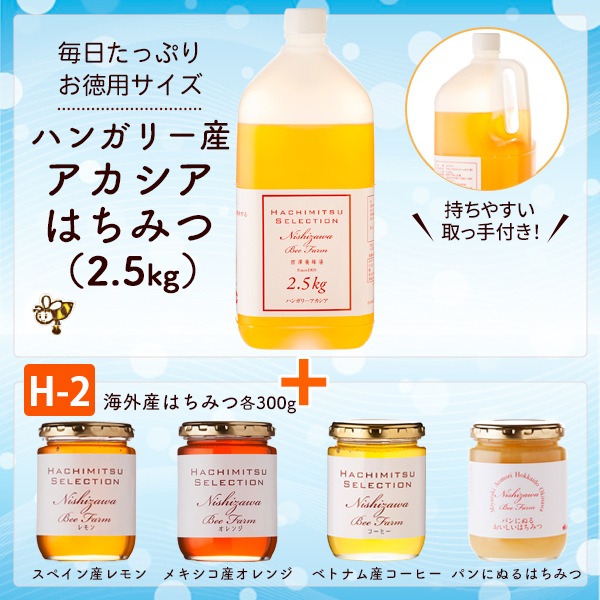 ハンガリー産アカシアはちみつ＋H-2セット（ハンガリー産アカシア2.5kg・海外産レモン・オレンジ・コーヒー・パンにぬるはちみつ各300g）【選べてお得なセット】【特価品につきラッピング不可】