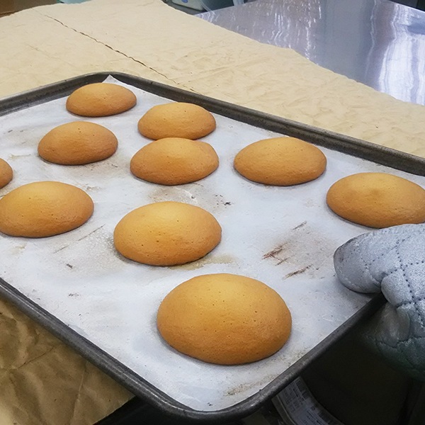 はちみつボーロ（10枚入）｜蜂兵衛館西澤養蜂場本店