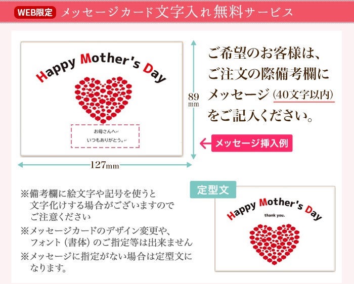 ハンガリー産はちみつミニボトルギフト250×2本（アカシア・百花）