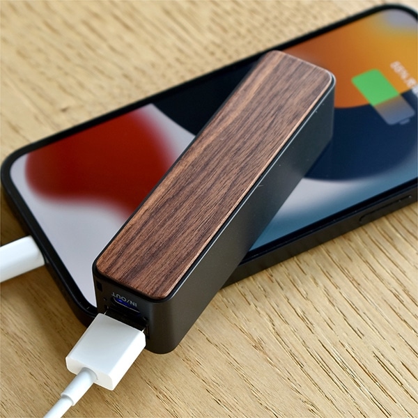 POWERBANK 3500