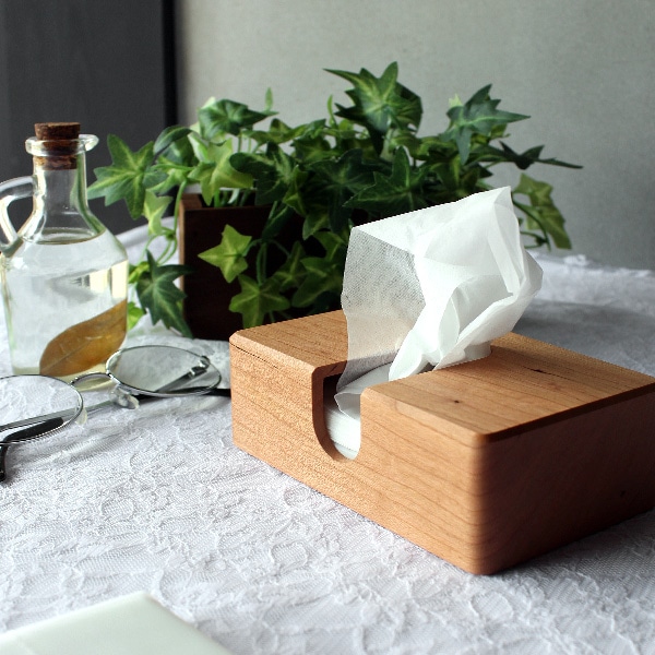 Pocket Tissue Case