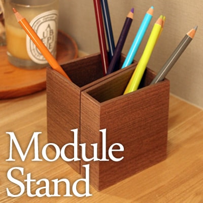 Module Stand