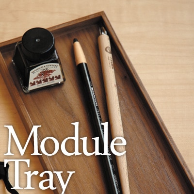 Module Tray