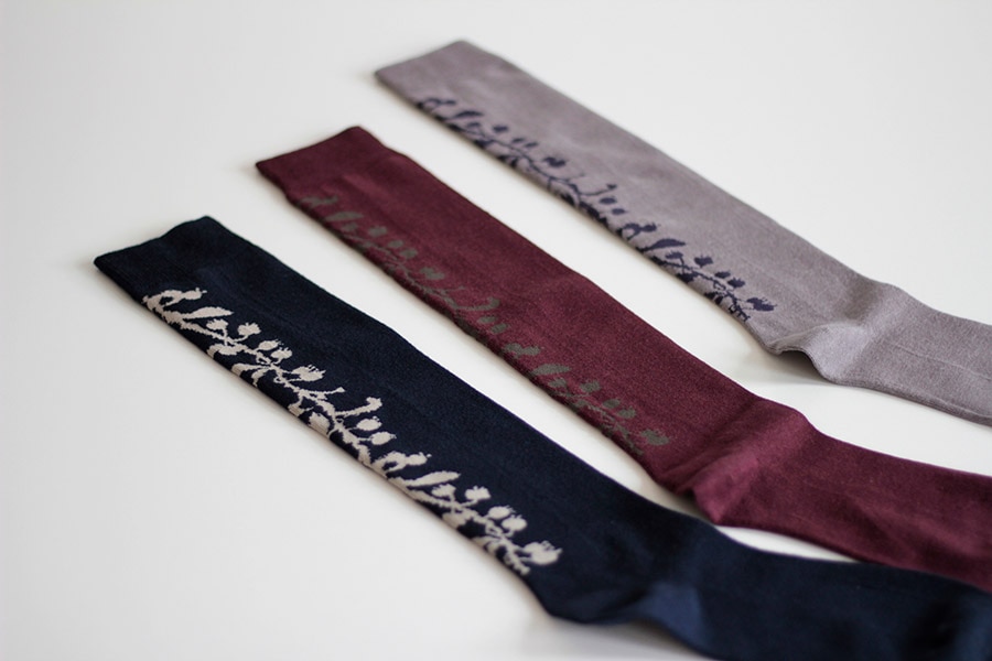 ten to sen+hacu nagorigusa(ナゴリグサ)