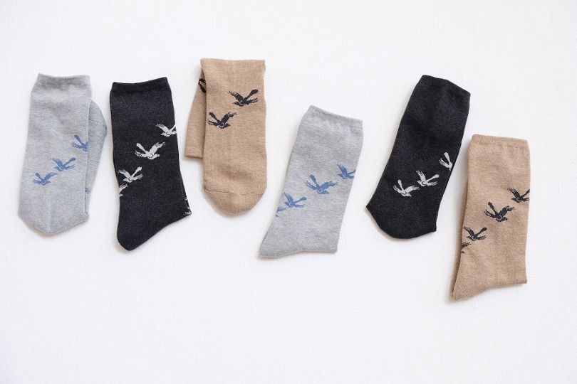 Birds パイルソックス