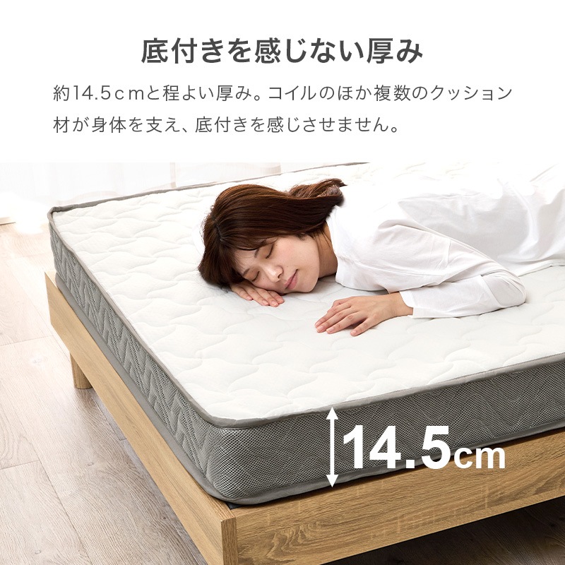 ܥͥ륳ޥåȥ쥹ñ SSS/S/SD/D(ޥåȥ쥹 ߥ󥰥륷硼 󥰥 ߥ֥ ֥ ܥͥ륳 Ť  )