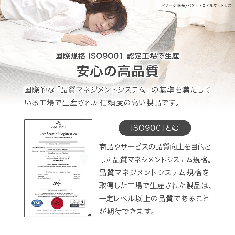 ܥͥ륳ޥåȥ쥹ñ SSS/S/SD/D(ޥåȥ쥹 ߥ󥰥륷硼 󥰥 ߥ֥ ֥ ܥͥ륳 Ť  )