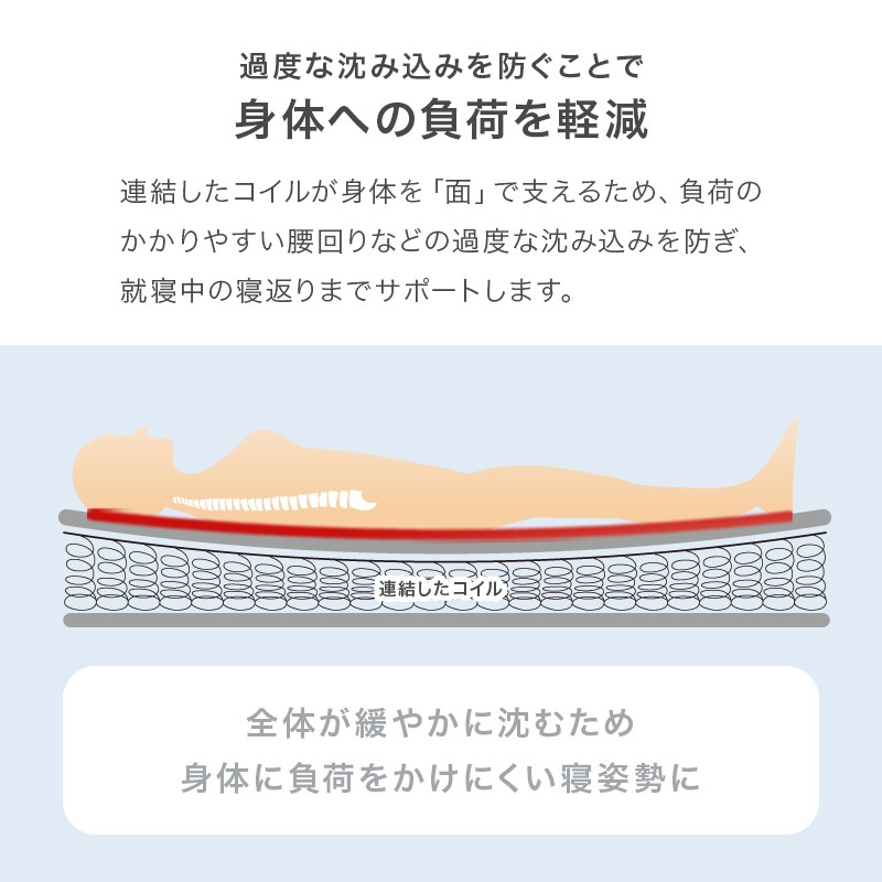 ܥͥ륳ޥåȥ쥹ñ SSS/S/SD/D(ޥåȥ쥹 ߥ󥰥륷硼 󥰥 ߥ֥ ֥ ܥͥ륳 Ť  )