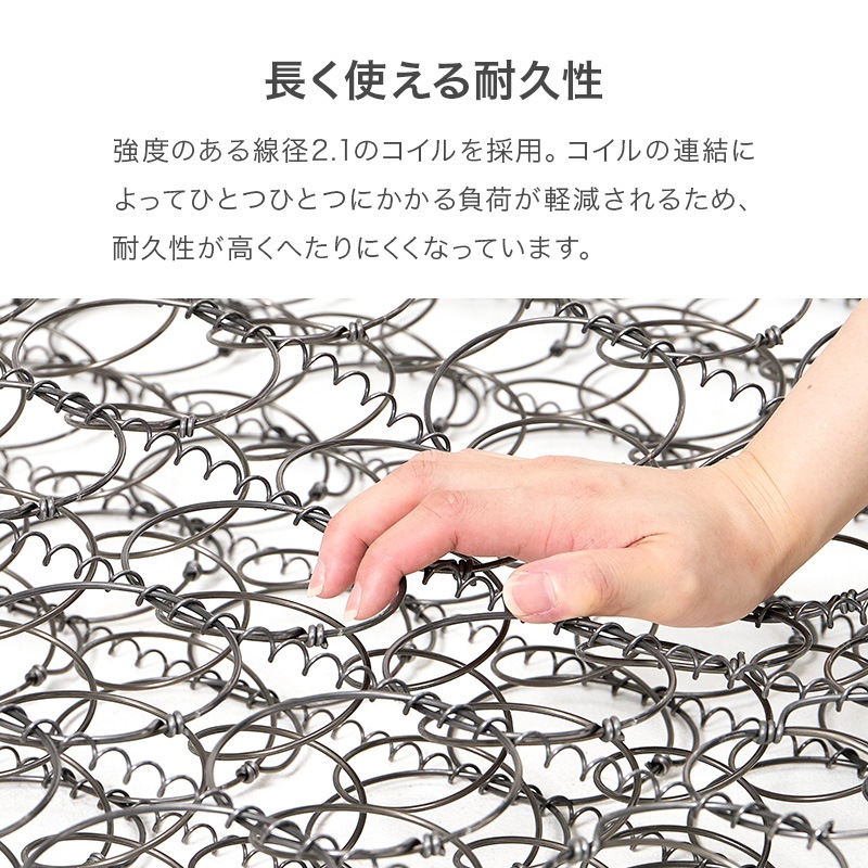 ܥͥ륳ޥåȥ쥹ñ SSS/S/SD/D(ޥåȥ쥹 ߥ󥰥륷硼 󥰥 ߥ֥ ֥ ܥͥ륳 Ť  )