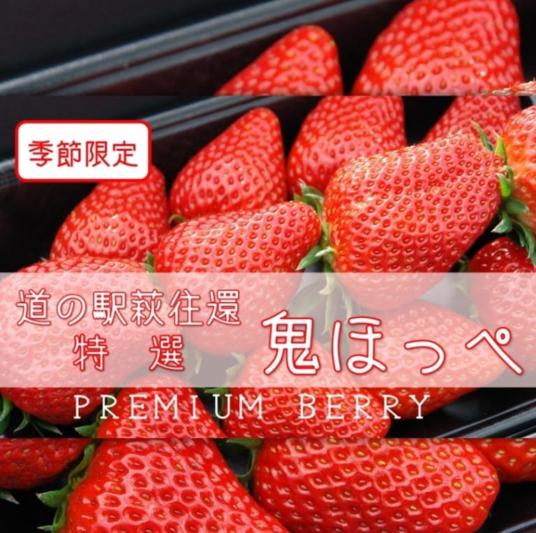 【道の駅萩往還限定】鬼ほっぺ® 特選［15粒入］（冷蔵）　