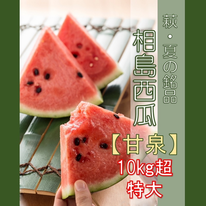 【萩・夏の銘品／夏ギフト】相島スイカ　「甘泉」　秀品・10㎏超特大