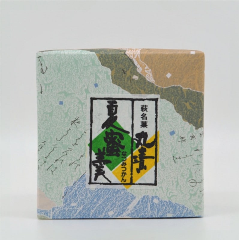 【萩名産夏蜜柑】萩たけなか／萩銘菓「丸漬」　夏蜜羹（なつみつかん）　1個（夏季冷蔵便配送）