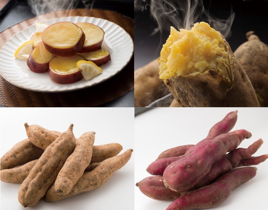 野菜ソムリエプロselect／萩・相島産サツマイモ　食べ比べセット　4㎏