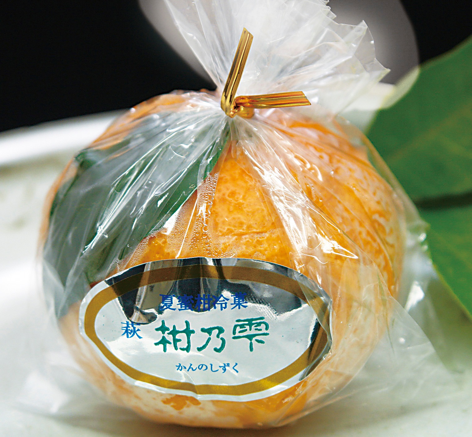 【萩名産夏蜜柑】萩たけなか/柑の雫 1個 (冷蔵)