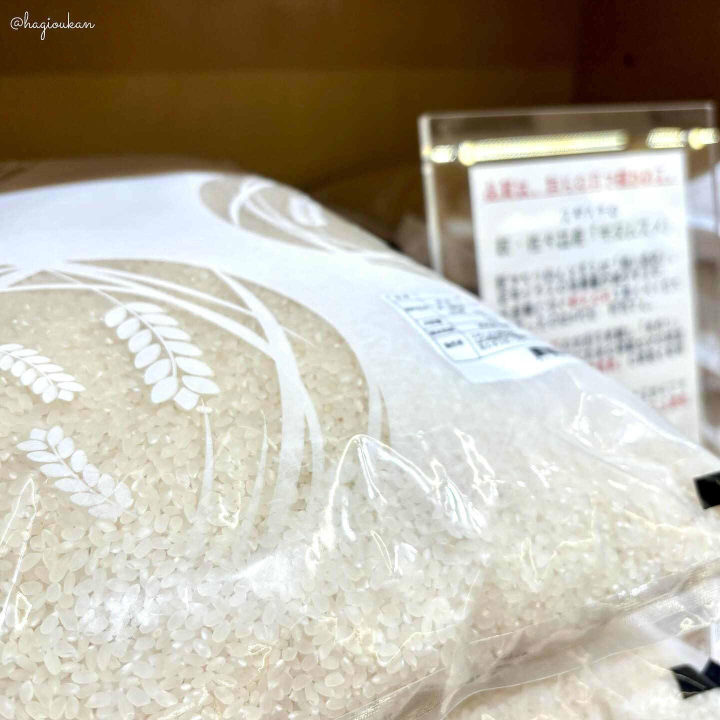 【新米入荷!令和7年産】スギハチのキヌムスメ:萩市佐々並産 キヌムスメ【うるち精米】5㎏