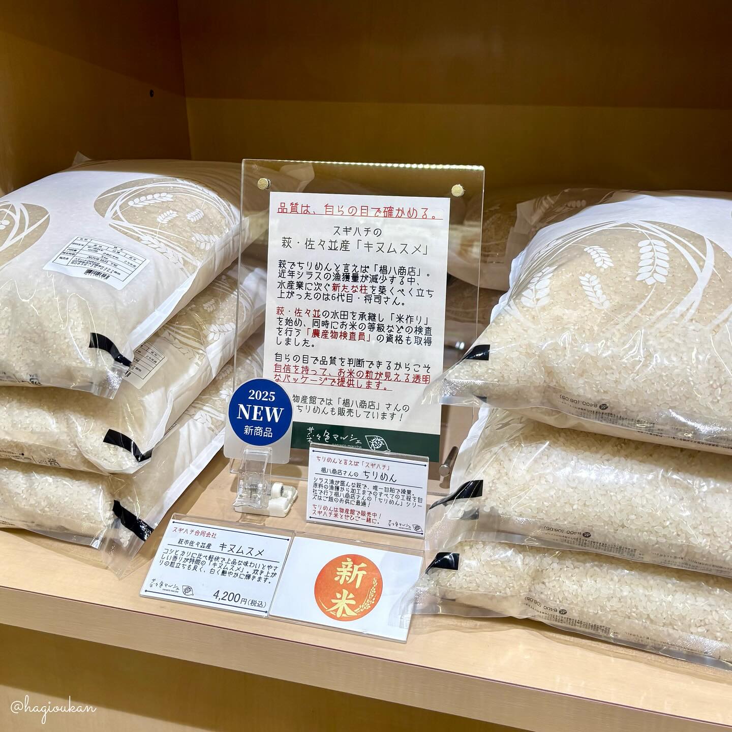 【新米入荷!令和7年産】スギハチのキヌムスメ:萩市佐々並産 キヌムスメ【うるち精米】5㎏