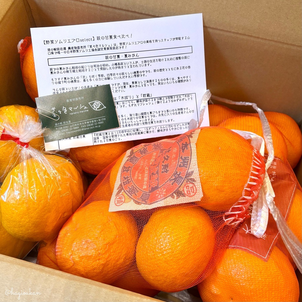 野菜ソムリエプロselect／萩の甘夏・夏みかん食べ比べセット　8㎏以上（冷蔵）