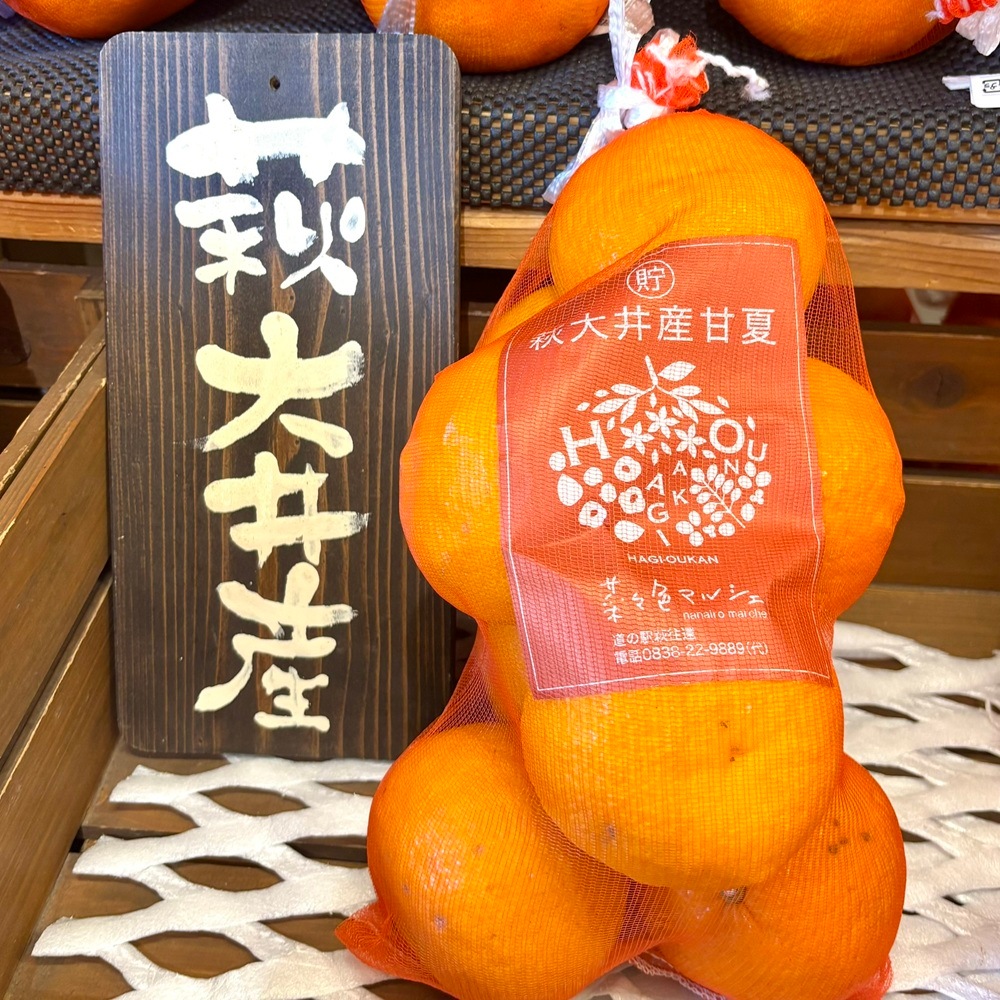 【やまぐちブランド「萩・大井の甘夏」／毎年人気№１】萩・大井産 貯蔵甘夏　3㎏ネット入（冷蔵）※他商品との同梱可