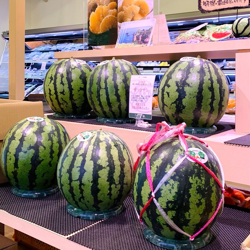 【萩・夏の銘品/夏ギフト】相島スイカ 秀品・8㎏以上