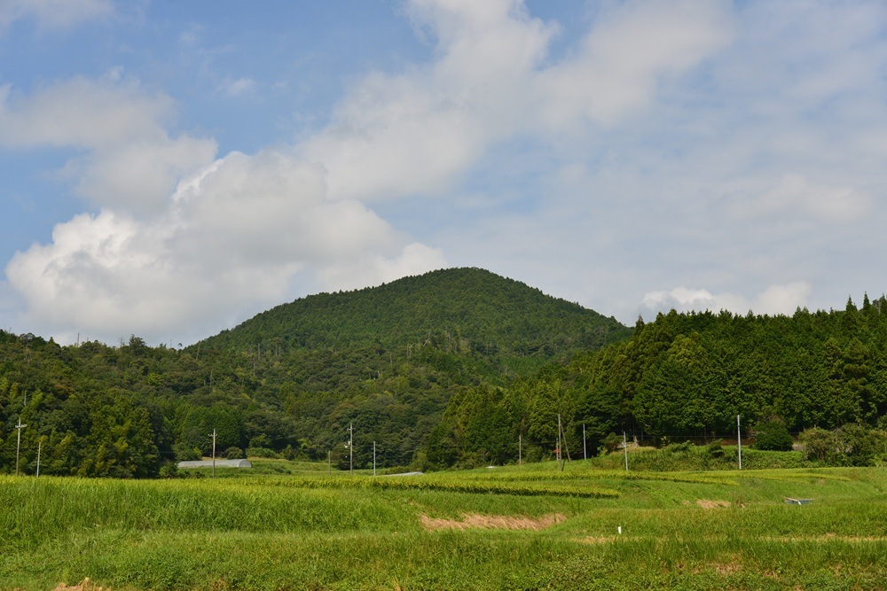 【令和７年産】道の駅萩往還限定・契約栽培米「紫雲山プレミアム」はぜかけ：萩市紫福産 コシヒカリ【うるち精米】2㎏ 
