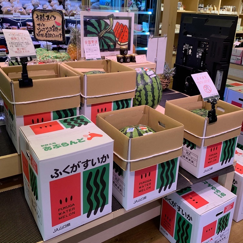 【超特大！夏ギフトおすすめ！】ふくがミネラルすいか　秀品・12㎏以上
