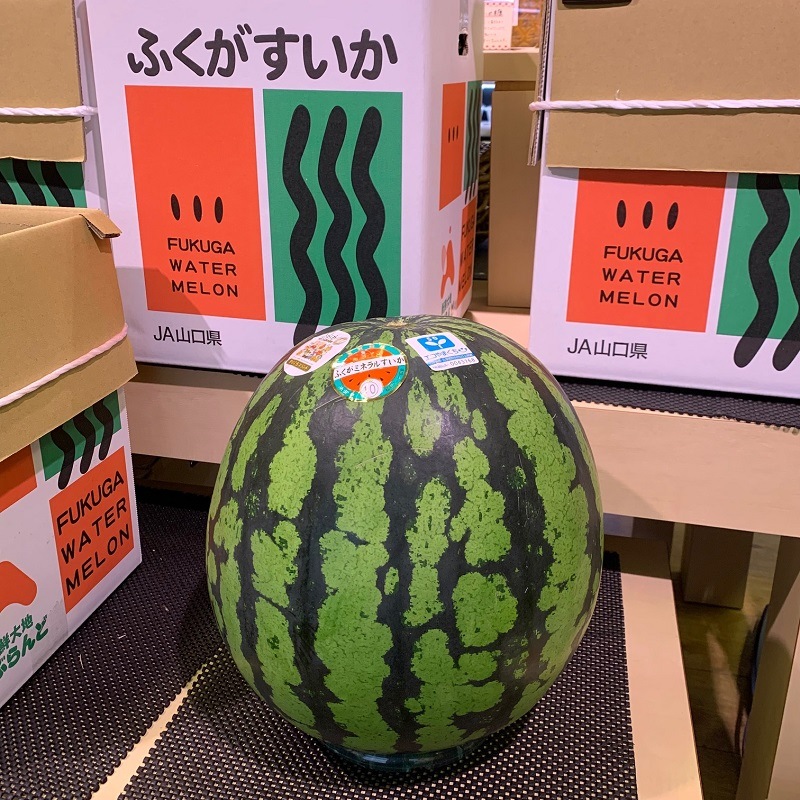 【超特大！夏ギフトおすすめ！】ふくがミネラルすいか　秀品・12㎏以上