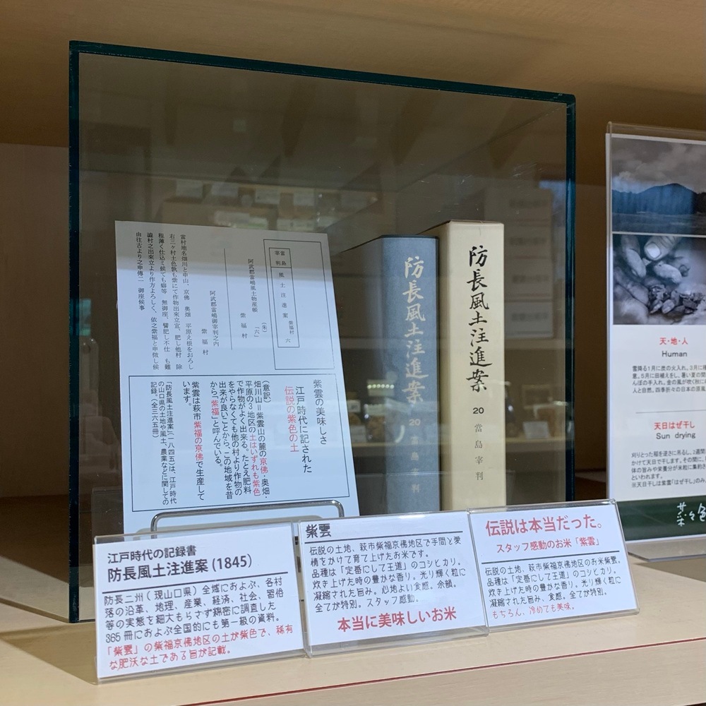 【新米入荷!令和7年産】道の駅萩往還限定・契約栽培米「紫雲山」:萩市紫福産 コシヒカリ【うるち精米】5㎏
